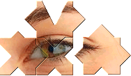 eye puzzle logo