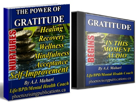 The Power of Gratitude Ebook by A.J. Mahari